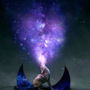 Meet your Posher, Kj